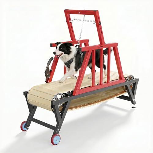 Garvee dog treadmill slatmill for large and medium dogs