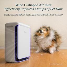 Levoit Vital Pet Air Purifier for Large Rooms with Smart App thumbnail 4